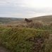 Jon Maddocks - Facebook