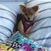 Jon Madison - Facebook