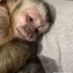 John Major - @john_major_ - Instagram