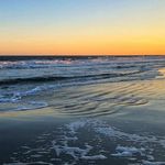 John Major - @barefootlawnssc - Instagram