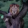 jonmancuso259 - @jonmancuso259 - TikTok