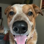 Jon Maples - @jmaples42 - Instagram