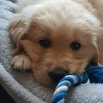 Jon Maples - @jon.maples.78 - Instagram
