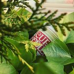 Jon Marion - @discarded_things - Instagram