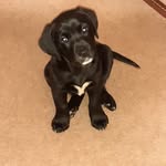 Jon Mather - @jonmather3 - Instagram