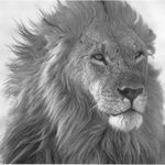 J - @jon.mathis.69 - Instagram