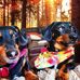 Jonathan Maurer - Facebook