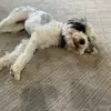 maurer_jon - @maurerjon - TikTok