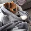 Jon Mcdermott - @harry12395 - TikTok