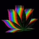 Daryl Jon McEwan - @eer_im_dj_666 - Instagram
