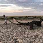 Jon McEwan - @lonewolflense - Instagram