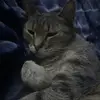 jonnymchenry - @jonnymchenry - TikTok