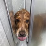 @jonmchugh.06 - Instagram