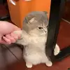 JonMclane007 - @jonmclane007 - TikTok
