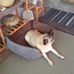 Jon Mcnabb - Facebook