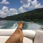Jon Randall - @jon.mick.3 - Instagram