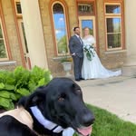 Jon Mielke - @jmiel004 - Instagram
