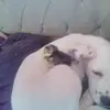 Jon Miller - @jon.miller267 - TikTok
