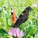 Jon Miner Aristizabal - @miner_aristizabal_jon - Instagram