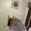 John Morey - @john.morey2 - TikTok