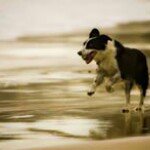 Jon Moyer - @jonmoyer2 - Instagram