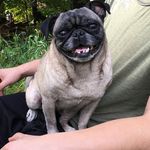 Jon Moyer - @jonmoyer6 - Instagram