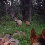 Jon Mueller - @jon.mueller.79 - Instagram