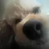 John Murphy - @j.murph13 - TikTok