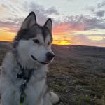 Jon Neely - @jonneely52 - Instagram