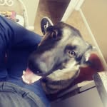 jon neely - @babyblueford1974 - Instagram