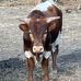Jon Nelson - Facebook