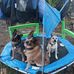 Jon B. Newell - Facebook