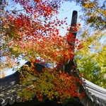 Jon Ng - @inkstained_sunny_day1913 - Instagram