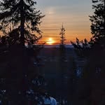 Jon Nicholson - @jonnicholson02 - Instagram