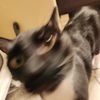 Jon Ogden - @jon.ogden4 - TikTok