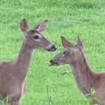 Jon H Olmsted - @jonholmsted - Instagram