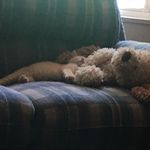Jon Olson - @jon.olson.50159 - Instagram