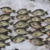 Jon Olson - @fishingthe218 - TikTok