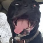 Jon Ostrander - @jon.ostrander.52 - Instagram