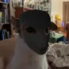 jon.k.parish - @jon.k.parish - TikTok