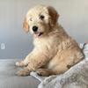 Jon Patten - @jon.patten - TikTok