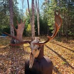 Jon Patten - @wildwesternnewfoundland - Instagram