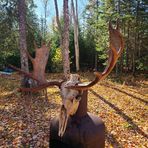 Jon Patten - Facebook