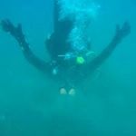 Jon Paxton - @dabombjon - Instagram