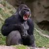 Jon Spell - @jon.spell - TikTok