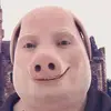 jonpelle - @jonpelle - TikTok