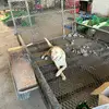 John Penner - @john.penner20 - TikTok
