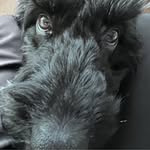 Jon Penton - @jonp76 - Instagram