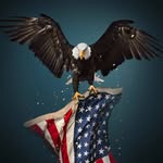 Jon Petersen - @jon.petersen.961 - Instagram
