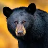 jonathanpfaff995 - @jonathanpfaff995 - TikTok